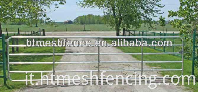 14 piedi di lunghezza, rimane Farm Fence Gate